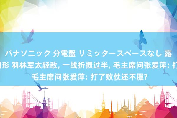 パナソニック 分電盤 リミッタースペースなし 露出・半埋込両用形 羽林军太轻敌， 一战折损过半， 毛主席问张爱萍: 打了败仗还不服?