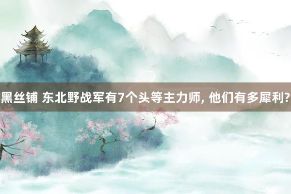 黑丝铺 东北野战军有7个头等主力师， 他们有多犀利?