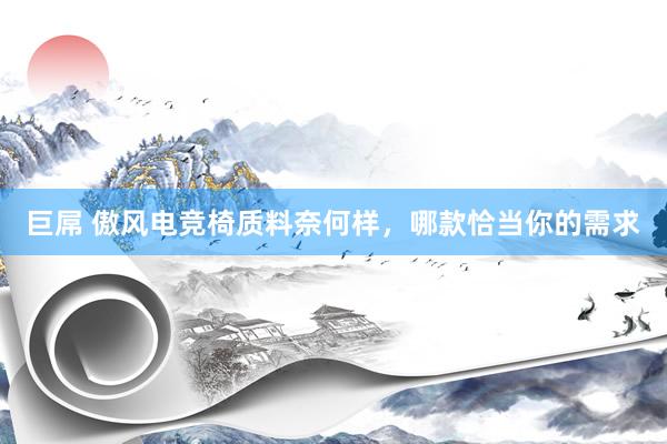 巨屌 傲风电竞椅质料奈何样，哪款恰当你的需求