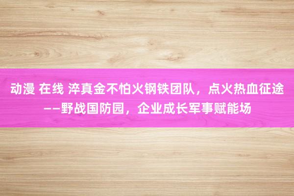 动漫 在线 淬真金不怕火钢铁团队，点火热血征途——野战国防园，企业成长军事赋能场