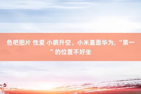 色吧图片 性爱 小鹏升空、小米直面华为， “第一”的位置不好坐
