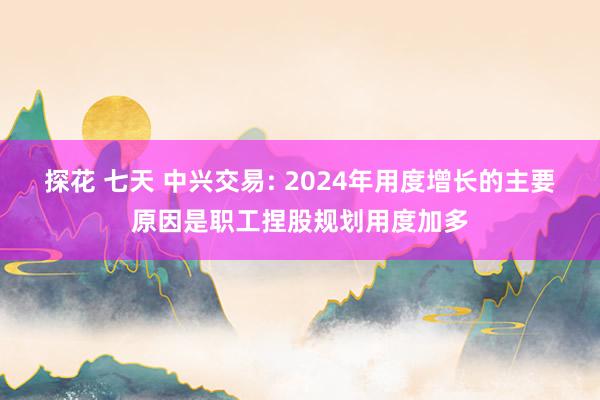 探花 七天 中兴交易: 2024年用度增长的主要原因是职工捏股规划用度加多