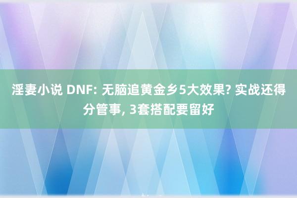 淫妻小说 DNF: 无脑追黄金乡5大效果? 实战还得分管事， 3套搭配要留好