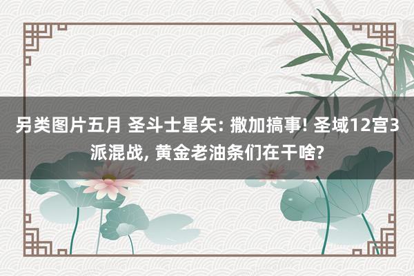 另类图片五月 圣斗士星矢: 撒加搞事! 圣域12宫3派混战， 黄金老油条们在干啥?