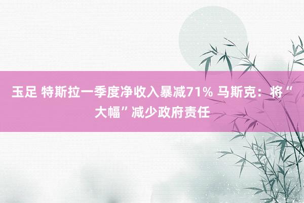 玉足 特斯拉一季度净收入暴减71% 马斯克：将“大幅”减少政府责任