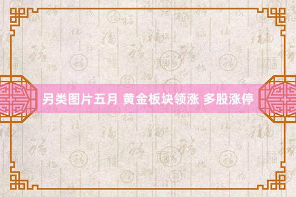 另类图片五月 黄金板块领涨 多股涨停