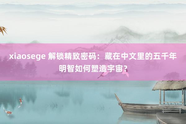 xiaosege 解锁精致密码：藏在中文里的五千年明智如何塑造宇宙？