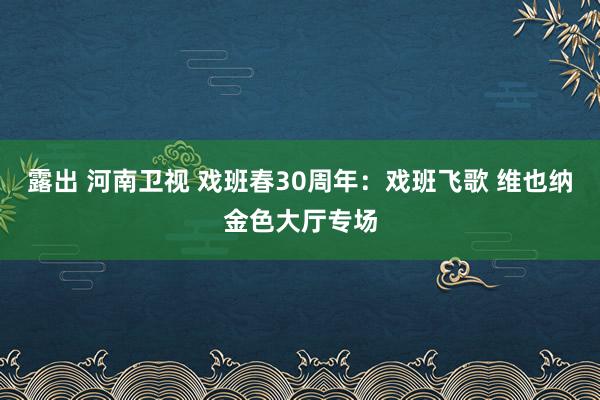 露出 河南卫视 戏班春30周年：戏班飞歌 维也纳金色大厅专场