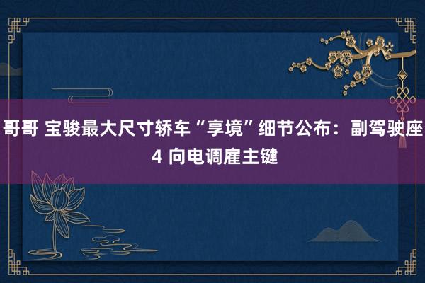 哥哥 宝骏最大尺寸轿车“享境”细节公布：副驾驶座 4 向电调雇主键